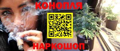 apvp Моздок
