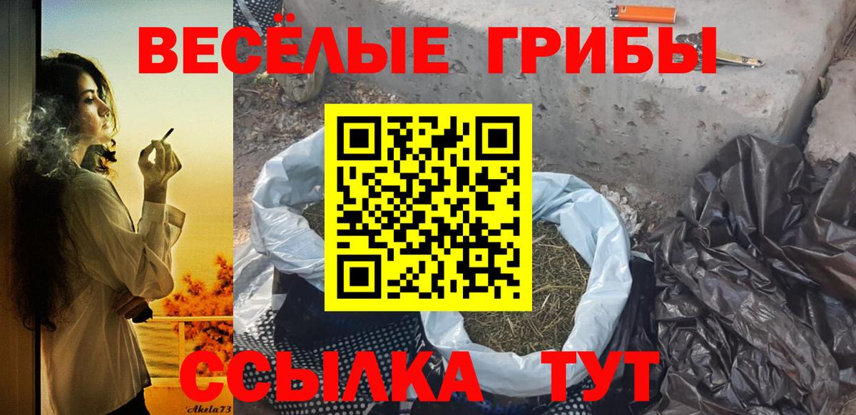 Галлюциногенные грибы мухоморы Холмск
