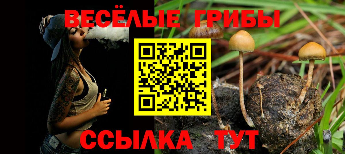 Галлюциногенные грибы мицелий  Вход с VPN  Псилоцибиновые грибы мухоморы  Холмск 
